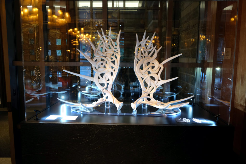 four-seasons-whistler-shane-wilson-display-4close